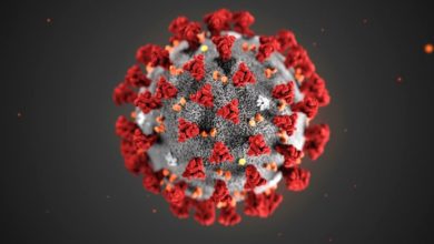 Photo of What Is Coronavirus (COVID-19)? How Can You Protect Yourself?
