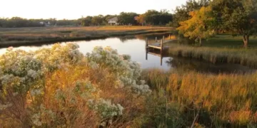 mississippi county is a paradise for nature lovers