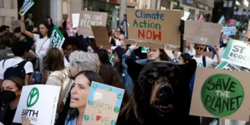 the case for cocaine bears (1)